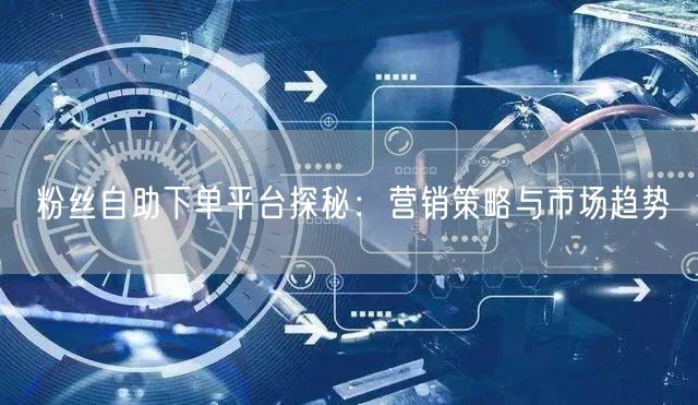 粉丝自助下单平台探秘：营销策略与市场趋势
