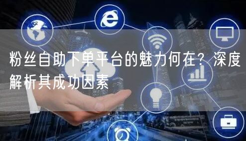 粉丝自助下单平台的魅力何在？深度解析其成功因素