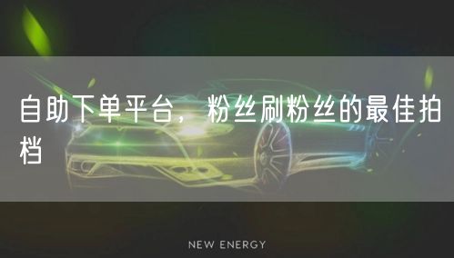 自助下单平台，粉丝刷粉丝的最佳拍档