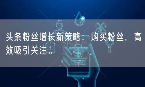 头条粉丝增长新策略：购买粉丝，高效吸引关注。