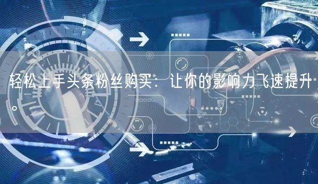 轻松上手头条粉丝购买：让你的影响力飞速提升。