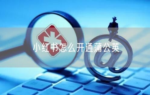 小红书怎么开通蒲公英