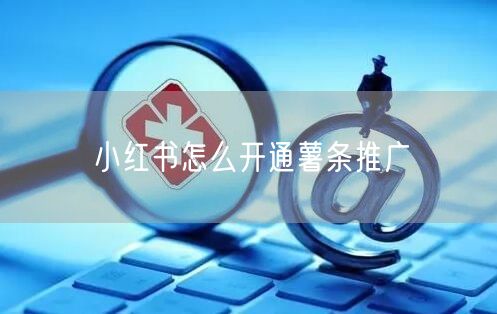 小红书怎么开通薯条推广