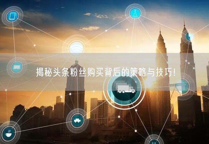 揭秘头条粉丝购买背后的策略与技巧！