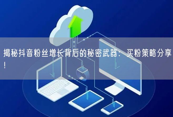 揭秘抖音粉丝增长背后的秘密武器：买粉策略分享！