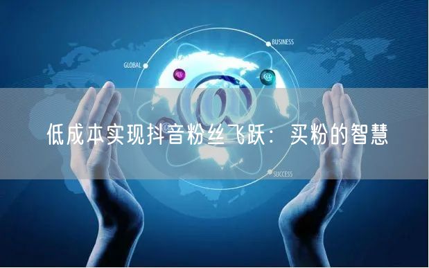 低成本实现抖音粉丝飞跃：买粉的智慧