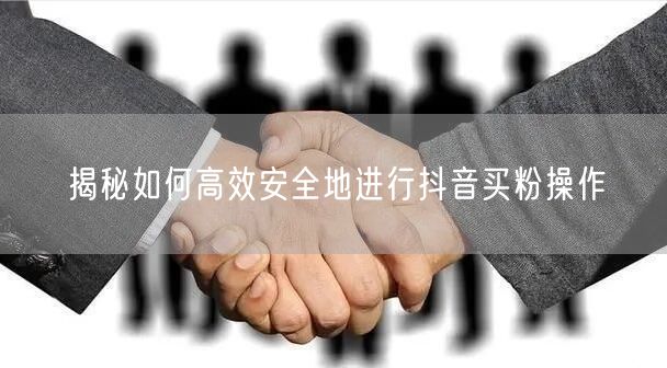 揭秘如何高效安全地进行抖音买粉操作