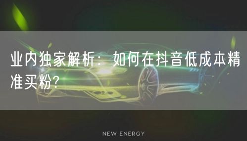 业内独家解析：如何在抖音低成本精准买粉?