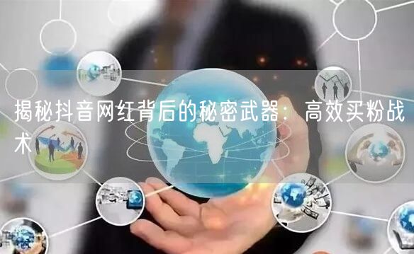 揭秘抖音网红背后的秘密武器：高效买粉战术