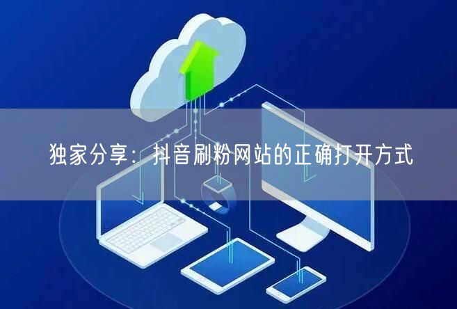 独家分享：抖音刷粉网站的正确打开方式