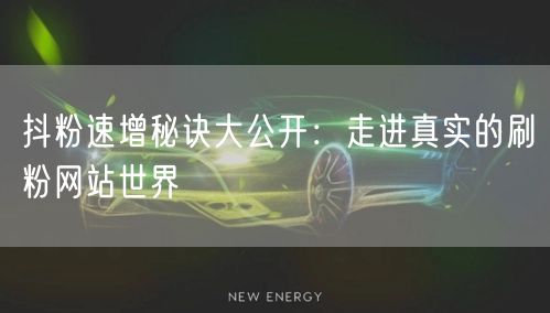 抖粉速增秘诀大公开：走进真实的刷粉网站世界